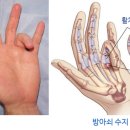 성모한길정형외과 이미지
