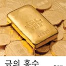 금의 이미지
