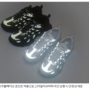 라이노어페럴 네이버블로그