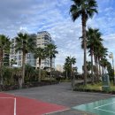 농구장 옆 횡단보도 이미지