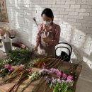 리틀그린플라워