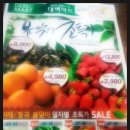 대백베이커리 네이버블로그