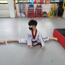경희대 제일 태권도장 이미지
