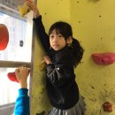 용인대 태기 합기도 이미지