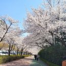 스포원 이미지