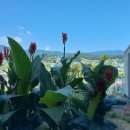 오즈스윗홈 이미지