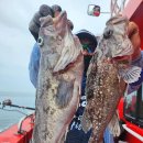 킹콩낚시 이미지