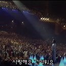 AI코딩과 햄스터봇 이미지