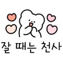 꼬미드림 이미지