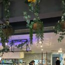 부산촌놈 | 부산촌놈 인 시드니 카페 보몬티 브런치맛집