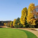 신원2로 이미지