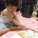 꼭꼭 숨어라 동물들아 이미지