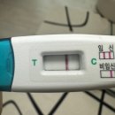 진하길 | [임신준비#4]두 번째 임신 시도, 자궁경 이후 임테기 두 줄 시기 /연속 화유 임테기 진하기