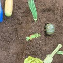 망우본동주민센터 이미지