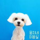 뭉치네 미용실 이미지