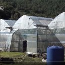 호암농장 이미지