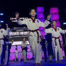 대한민국 태극시범단 이미지