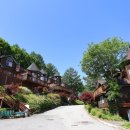 숲속의평창 이미지