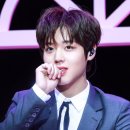 마카오박 이미지