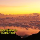 경기 의수족 보조기 이미지