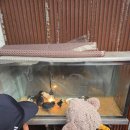 금성약국 | 담양 가볼 만한 곳 담양추억의골목 부모님 아이와 함께 데이트 코스로 딱 / 입장료 주차