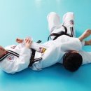 엠티에이태권도 이미지