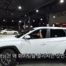 삼식육계 이미지
