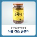 태양굼벵이 이미지
