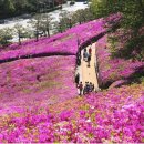 헬스보이짐&골프인 가산역점 이미지