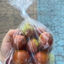 [포천/명성산맛집] 산정호수 근처 맛집 다리목🖤(feat.도토리묵, 해물파전, 이동막걸리)