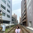 ㈜신지교통(마을버스) | 🇯🇵 Matsuyama | 일본 마쓰야마 3박 4일 여행 코스