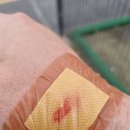 송정농구장 이미지