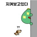 365튼튼의원 네이버블로그
