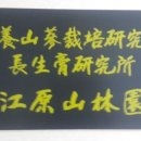 강원산림원 이미지