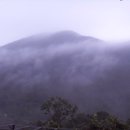 동뫼농장 이미지