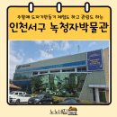 녹청자박물관 | [인천 녹청자박물관] 서구아이랑이색체험 흙가래성형체험 주말 후기