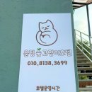 운정 숲 고양이호텔 이미지