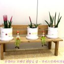 루비스킨케어 - 평택시 안정로 52-12 | 루비스킨케어