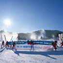 용평리조트 이미지