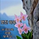 멋진하루 - 성동구 왕십리로33가길 10 | 멋진하루