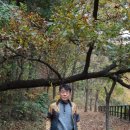 대덕연구단지체육공원 이미지