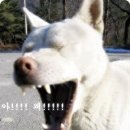 아 이미지