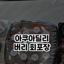 아쿠아딜리버리회포장