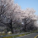 평사리공원 야영장 이미지