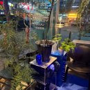 판교역 1번출구 | 판교역 술집 ㅣ 안주가 맛있는 바차 판교점 메뉴 추천 후기