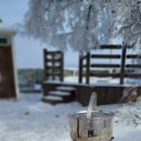 오도산 자연휴양림 이미지