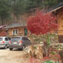 풍산리민박 이미지