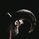 상대서로 이미지