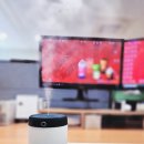 신일푸드 | 스타벅스 가습기 수령 후 실사용후기 ㅣ 2025 겨울 프리퀀시 증정품 예약팁 &amp; 추천템