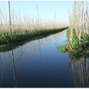 호수의오후 이미지